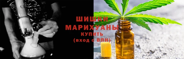 Альфа ПВП Горняк